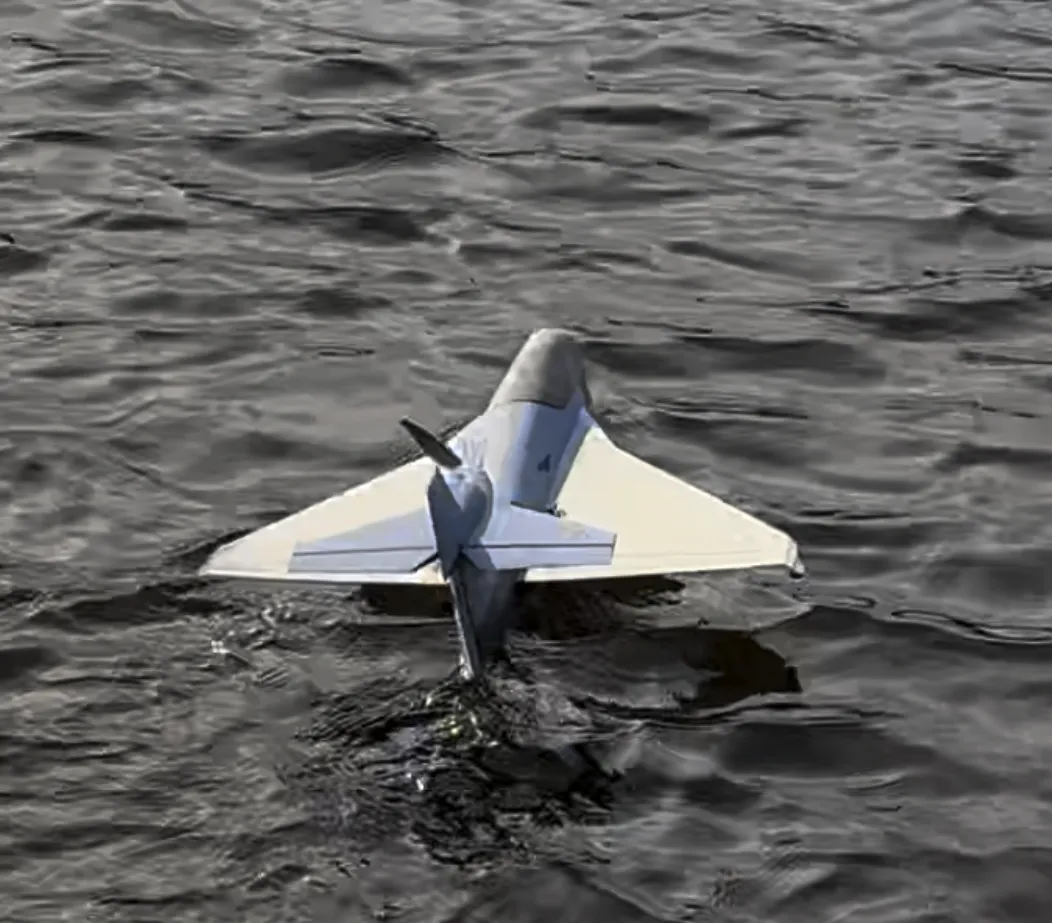 Vermax Prop Jet. Water and land Jet