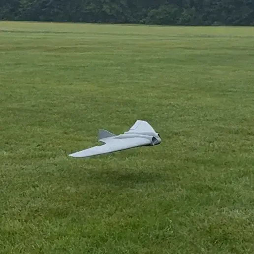 horten